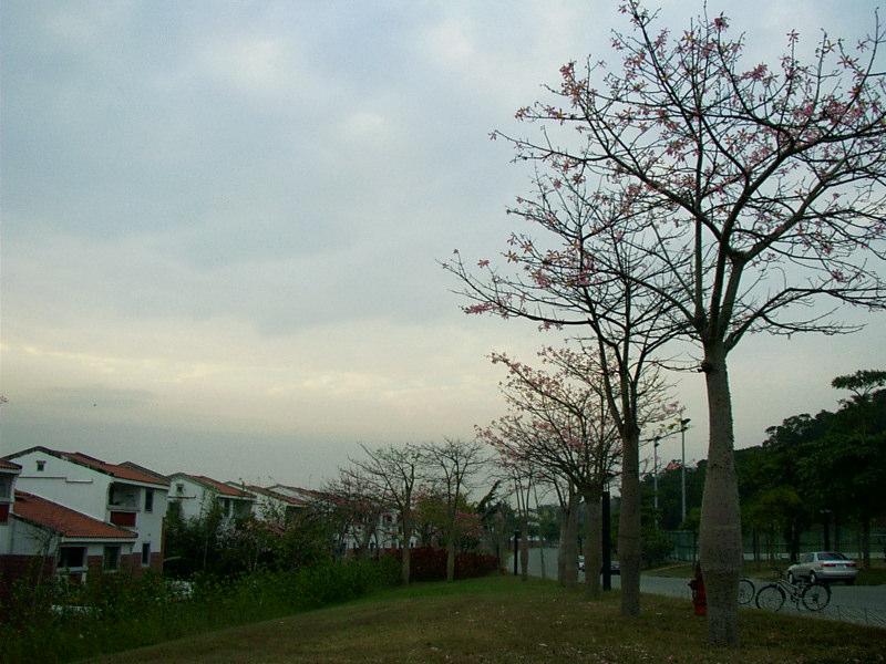 按此在新視窗瀏覽圖片
