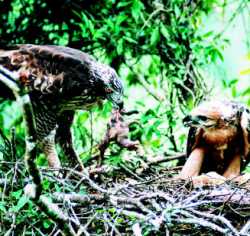 «ö¦¹¦b·sµøµ¡ÂsÄý¹Ï¤ù