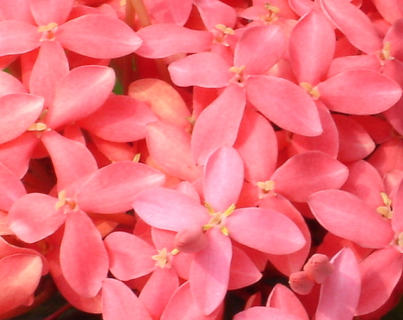 «ö¦¹¦b·sµøµ¡ÂsÄý¹Ï¤ù