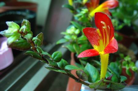 «ö¦¹¦b·sµøµ¡ÂsÄý¹Ï¤ù