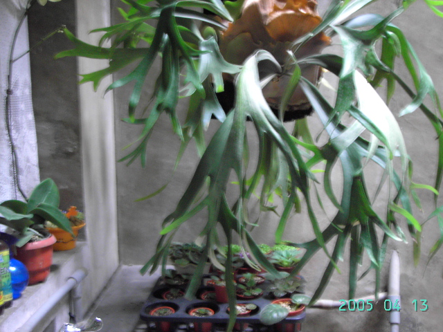 «ö¦¹¦b·sµøµ¡ÂsÄý¹Ï¤ù