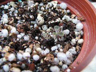 «ö¦¹¦b·sµøµ¡ÂsÄý¹Ï¤ù