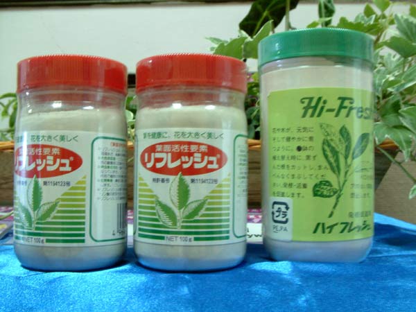 «ö¦¹¦b·sµøµ¡ÂsÄý¹Ï¤ù