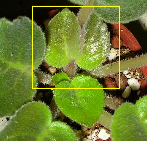 «ö¦¹¦b·sµøµ¡ÂsÄý¹Ï¤ù