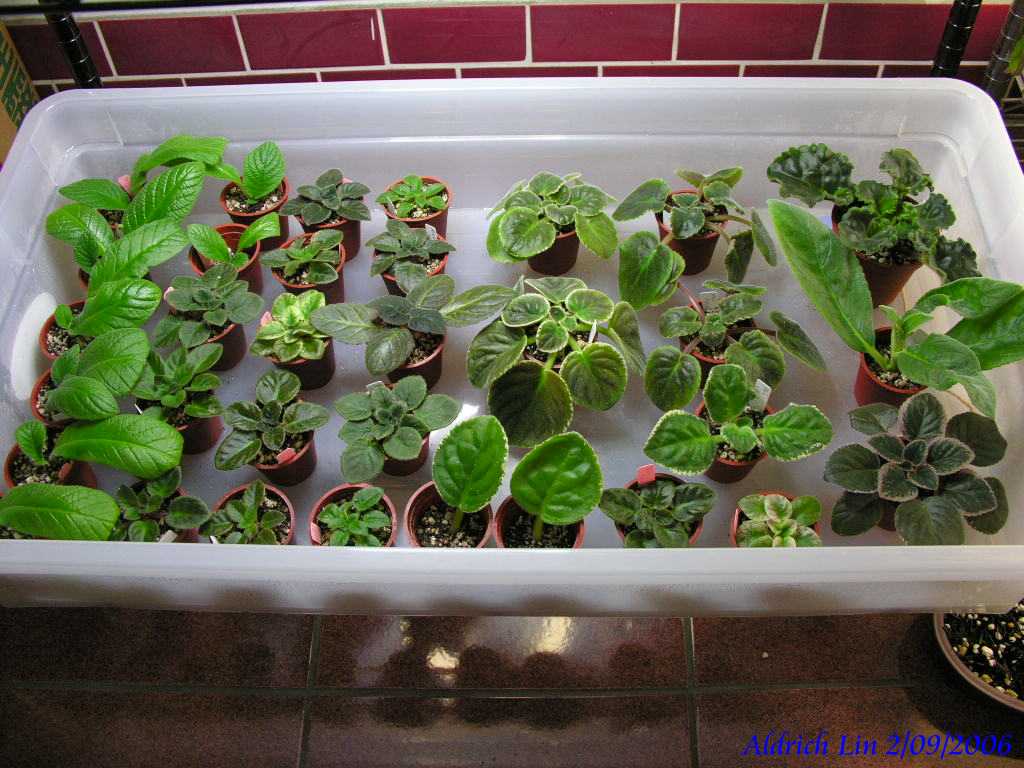 «ö¦¹¦b·sµøµ¡ÂsÄý¹Ï¤ù