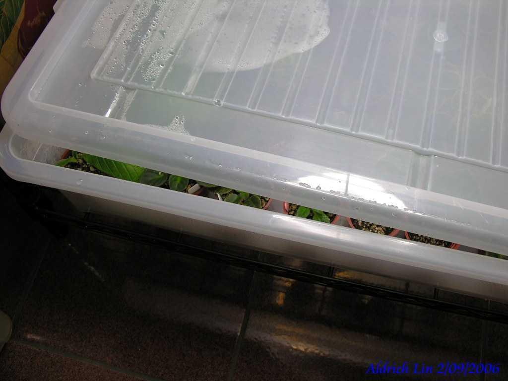 «ö¦¹¦b·sµøµ¡ÂsÄý¹Ï¤ù