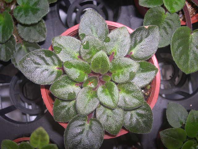 «ö¦¹¦b·sµøµ¡ÂsÄý¹Ï¤ù