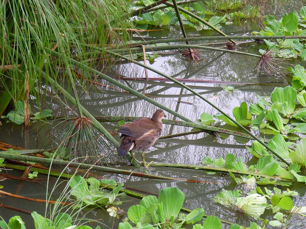 «ö¦¹¦b·sµøµ¡ÂsÄý¹Ï¤ù