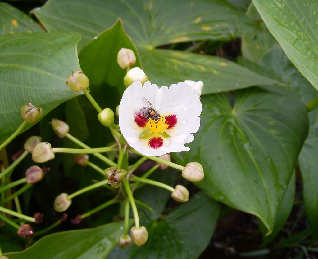 «ö¦¹¦b·sµøµ¡ÂsÄý¹Ï¤ù