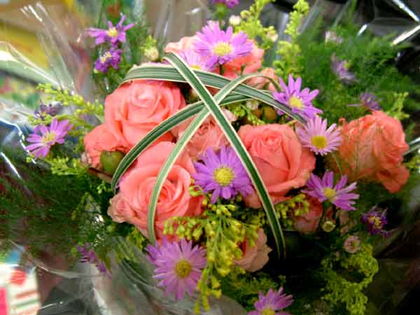 «ö¦¹¦b·sµøµ¡ÂsÄý¹Ï¤ù