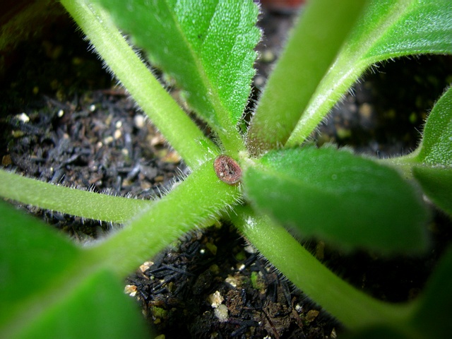 «ö¦¹¦b·sµøµ¡ÂsÄý¹Ï¤ù