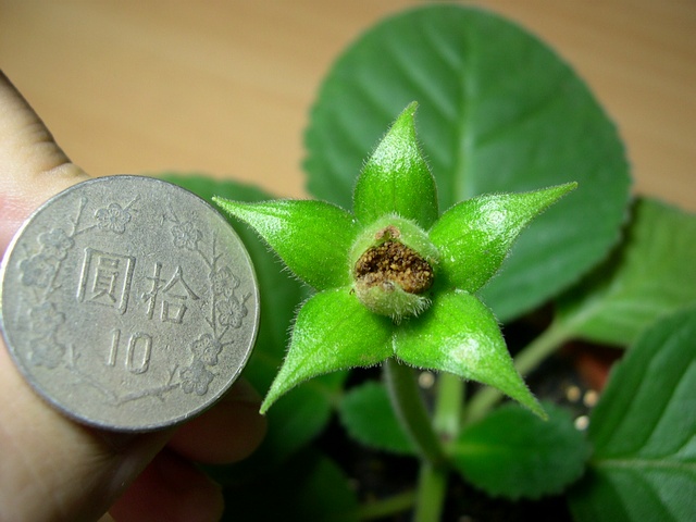 «ö¦¹¦b·sµøµ¡ÂsÄý¹Ï¤ù