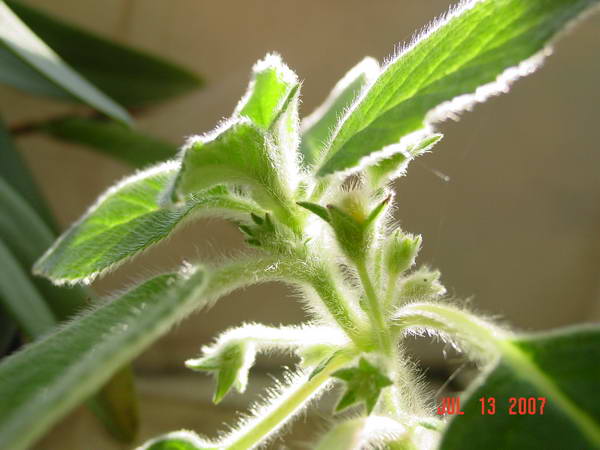 «ö¦¹¦b·sµøµ¡ÂsÄý¹Ï¤ù