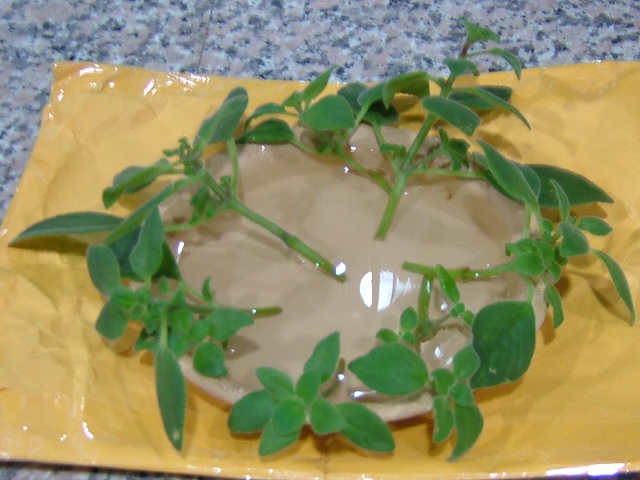 «ö¦¹¦b·sµøµ¡ÂsÄý¹Ï¤ù