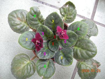 «ö¦¹¦b·sµøµ¡ÂsÄý¹Ï¤ù