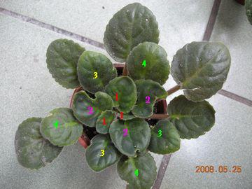 «ö¦¹¦b·sµøµ¡ÂsÄý¹Ï¤ù