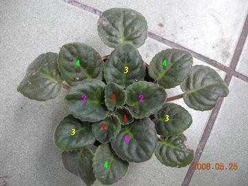 «ö¦¹¦b·sµøµ¡ÂsÄý¹Ï¤ù