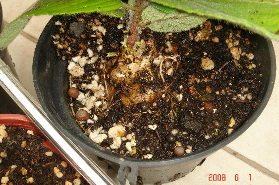 «ö¦¹¦b·sµøµ¡ÂsÄý¹Ï¤ù