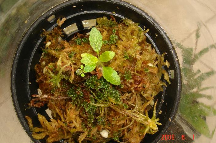 «ö¦¹¦b·sµøµ¡ÂsÄý¹Ï¤ù