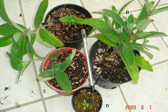 «ö¦¹¦b·sµøµ¡ÂsÄý¹Ï¤ù