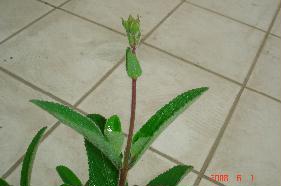 «ö¦¹¦b·sµøµ¡ÂsÄý¹Ï¤ù