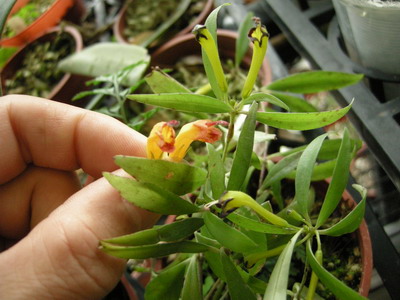 «ö¦¹¦b·sµøµ¡ÂsÄý¹Ï¤ù