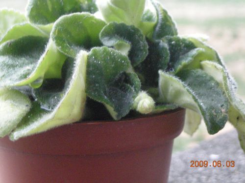 «ö¦¹¦b·sµøµ¡ÂsÄý¹Ï¤ù