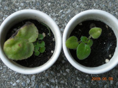 «ö¦¹¦b·sµøµ¡ÂsÄý¹Ï¤ù