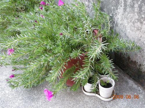 «ö¦¹¦b·sµøµ¡ÂsÄý¹Ï¤ù