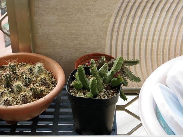 «ö¦¹¦b·sµøµ¡ÂsÄý¹Ï¤ù