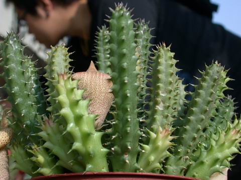 «ö¦¹¦b·sµøµ¡ÂsÄý¹Ï¤ù