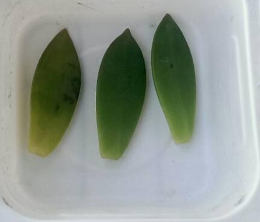 «ö¦¹¦b·sµøµ¡ÂsÄý¹Ï¤ù