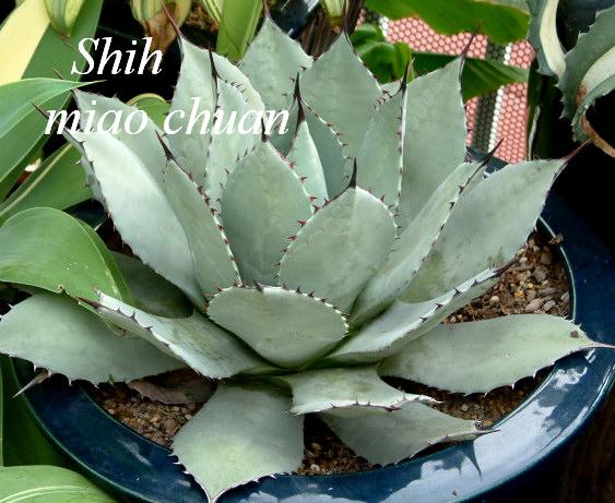 «ö¦¹¦b·sµøµ¡ÂsÄý¹Ï¤ù