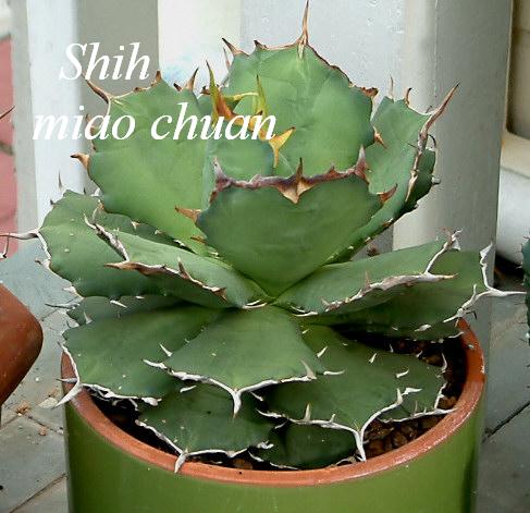 按此在新視窗瀏覽圖片