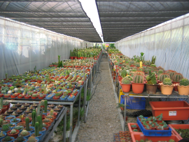 «ö¦¹¦b·sµøµ¡ÂsÄý¹Ï¤ù