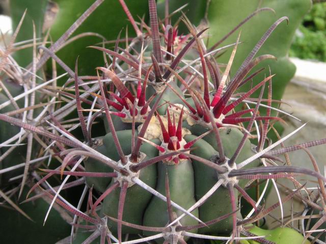 «ö¦¹¦b·sµøµ¡ÂsÄý¹Ï¤ù