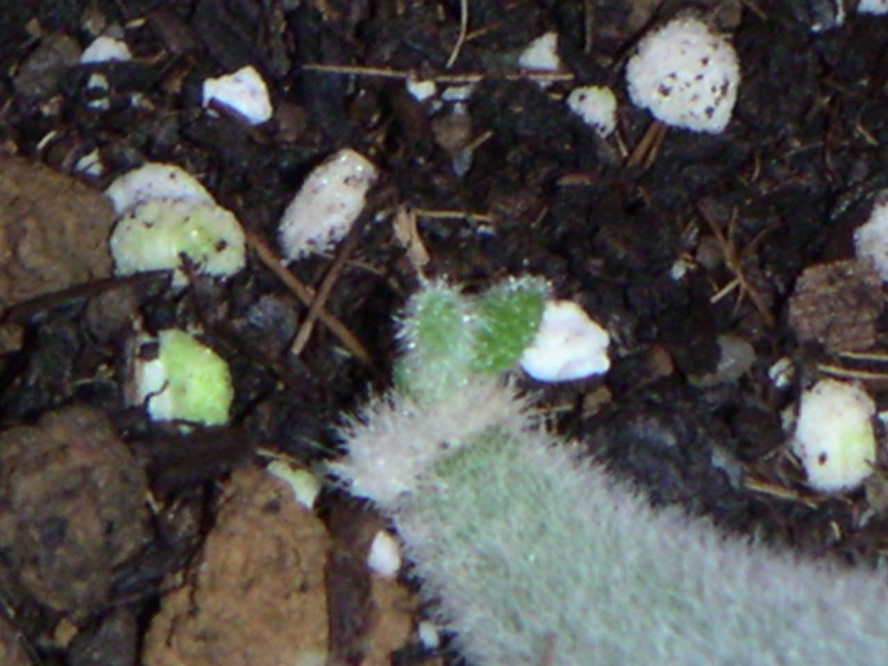 «ö¦¹¦b·sµøµ¡ÂsÄý¹Ï¤ù