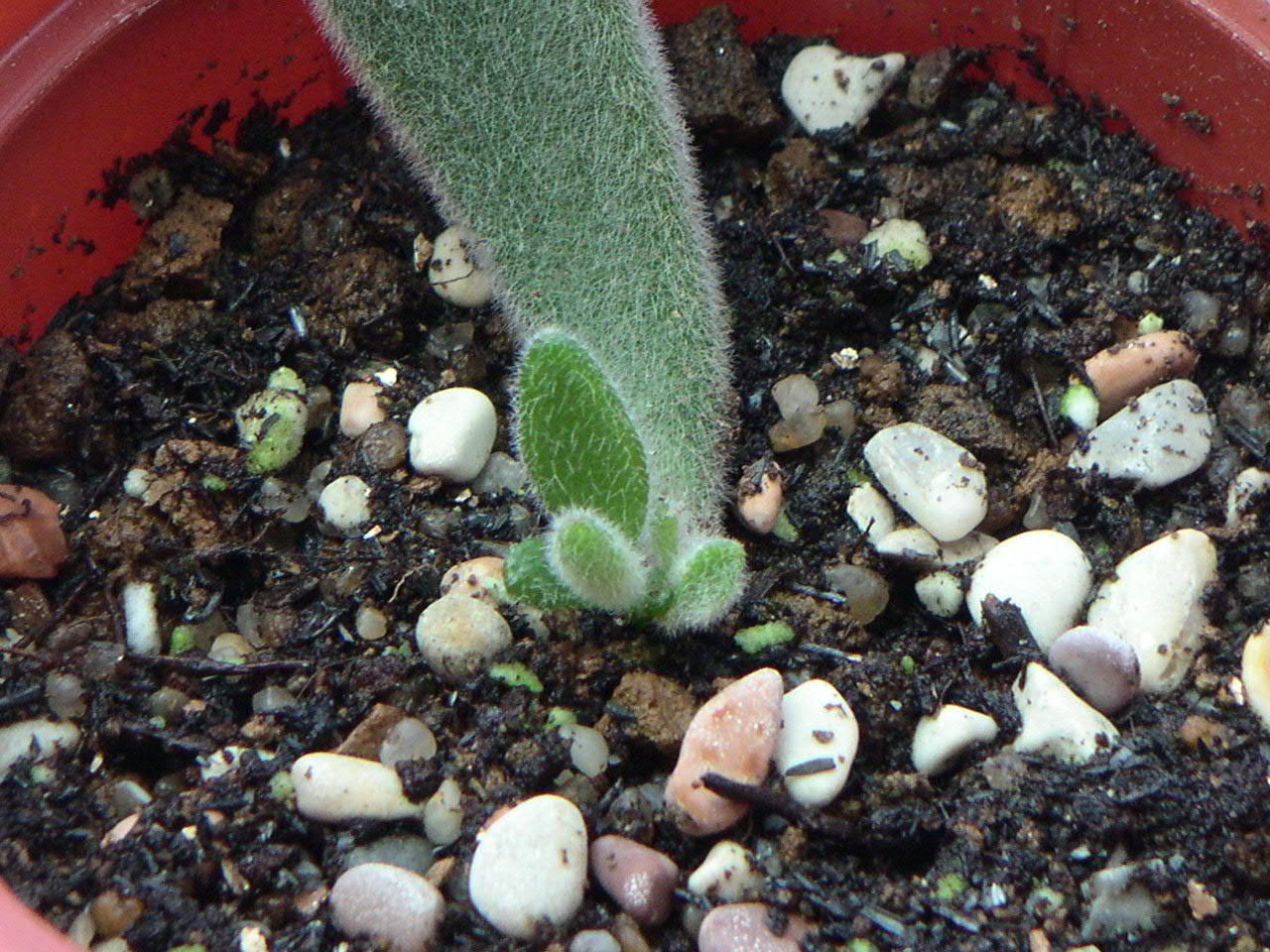 «ö¦¹¦b·sµøµ¡ÂsÄý¹Ï¤ù