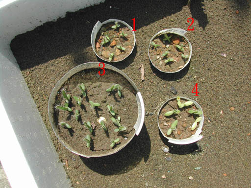 «ö¦¹¦b·sµøµ¡ÂsÄý¹Ï¤ù