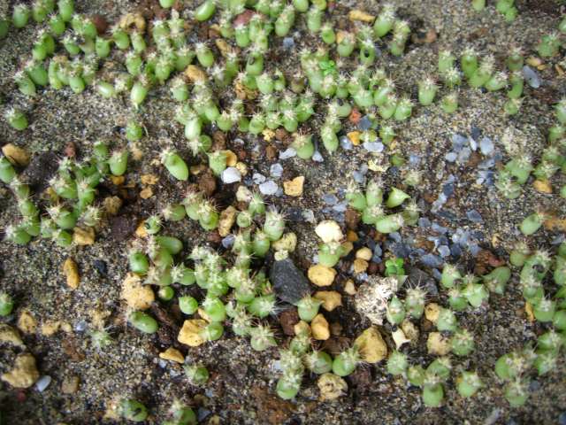 «ö¦¹¦b·sµøµ¡ÂsÄý¹Ï¤ù