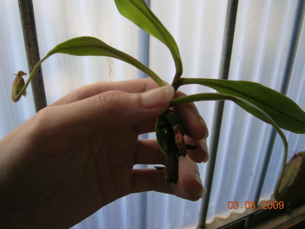 «ö¦¹¦b·sµøµ¡ÂsÄý¹Ï¤ù