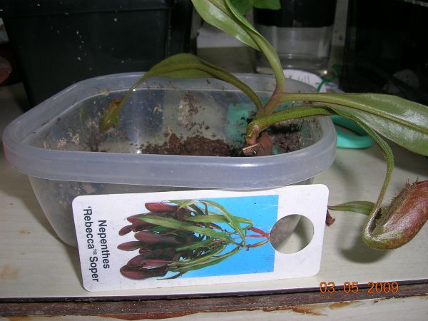 «ö¦¹¦b·sµøµ¡ÂsÄý¹Ï¤ù