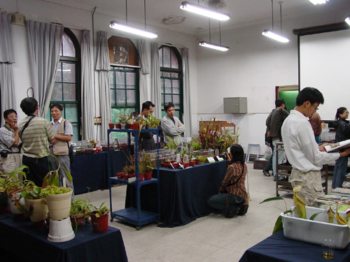 按此在新視窗瀏覽圖片