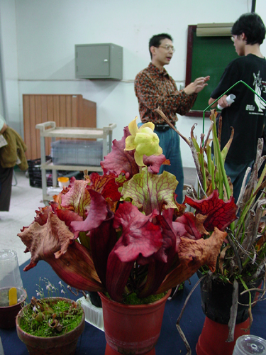 按此在新視窗瀏覽圖片