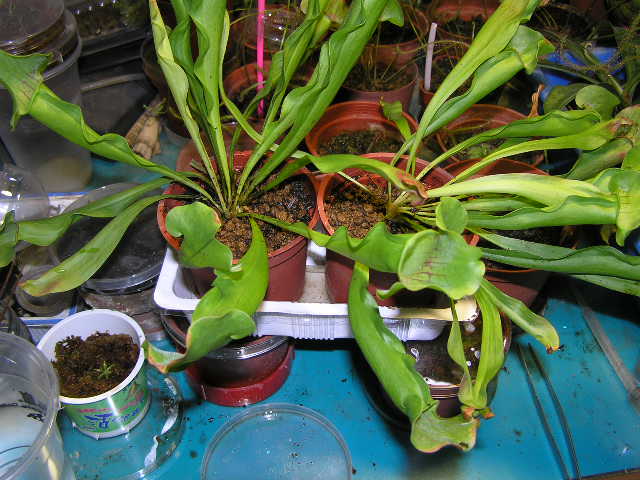 «ö¦¹¦b·sµøµ¡ÂsÄý¹Ï¤ù