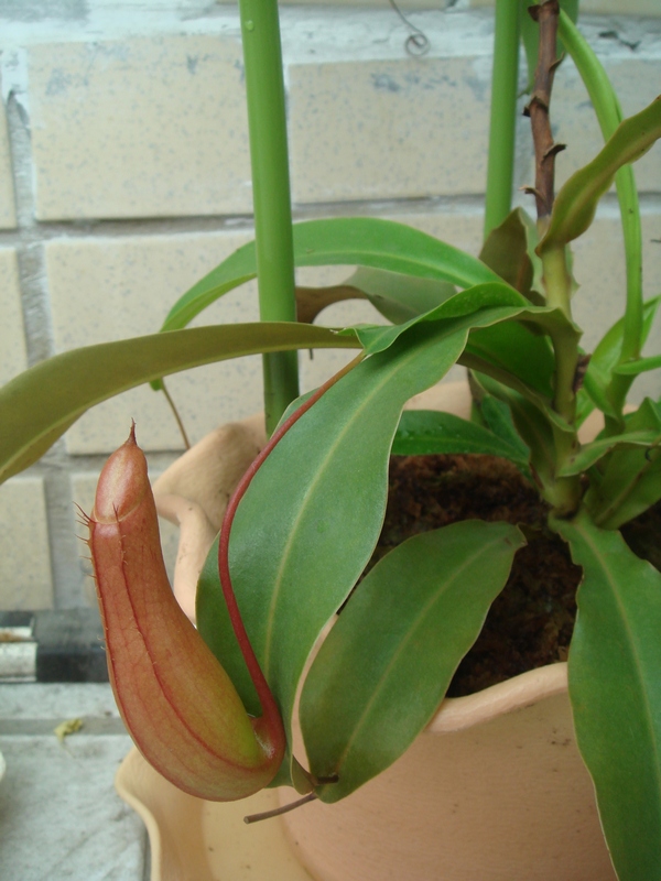 «ö¦¹¦b·sµøµ¡ÂsÄý¹Ï¤ù