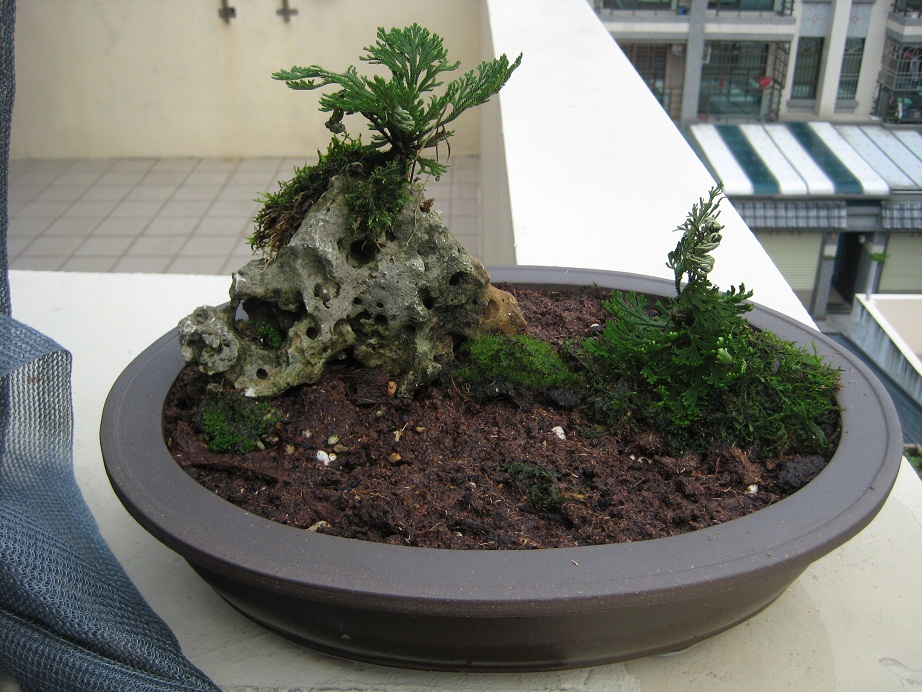 按此在新視窗瀏覽圖片