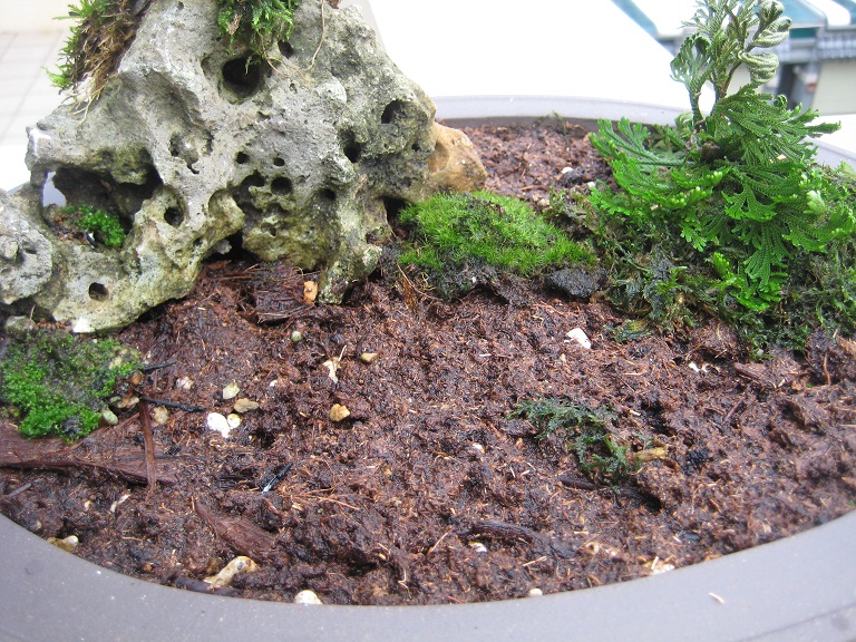 按此在新視窗瀏覽圖片