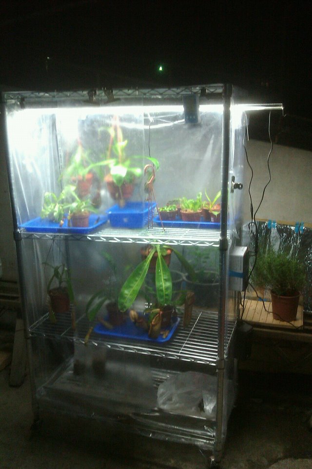 按此在新視窗瀏覽圖片