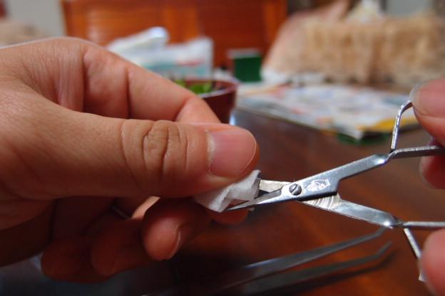 按此在新視窗瀏覽圖片